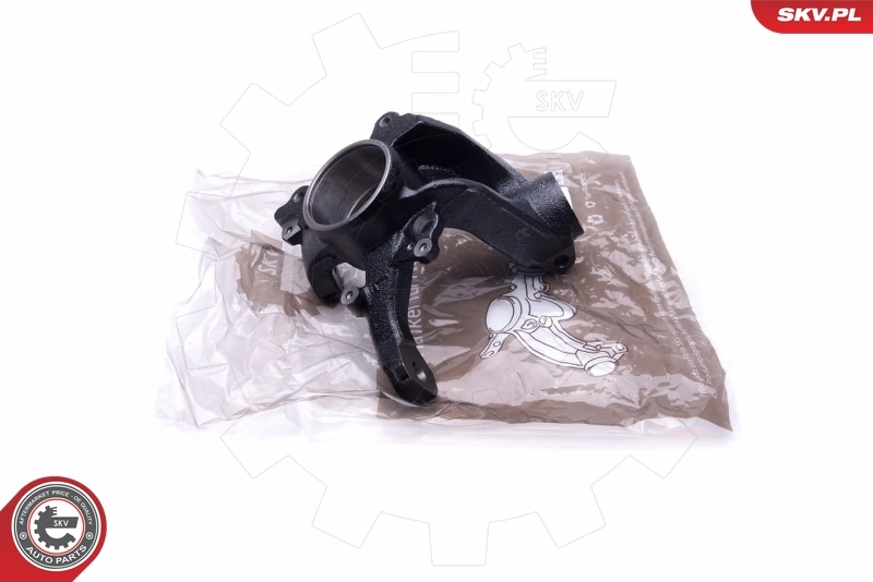 Steering Knuckle, wheel suspension